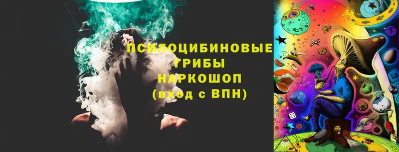 Псилоцибиновые грибы GOLDEN TEACHER  купить наркотики сайты  Александровск 